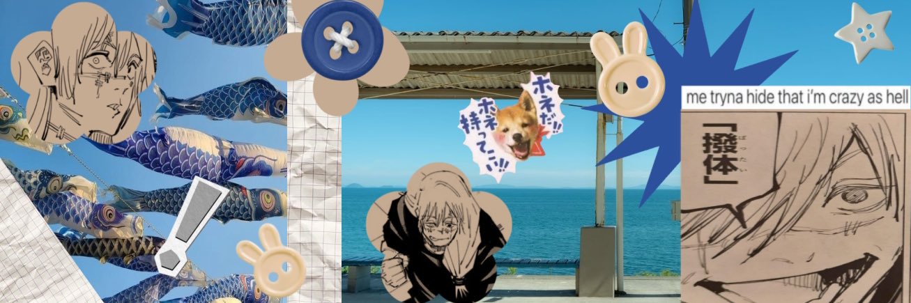 duck's banner