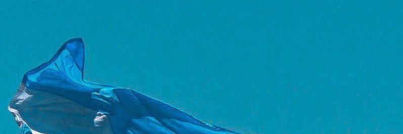 avyteharagon's profile banner image