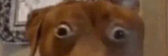 nera_18's profile banner image