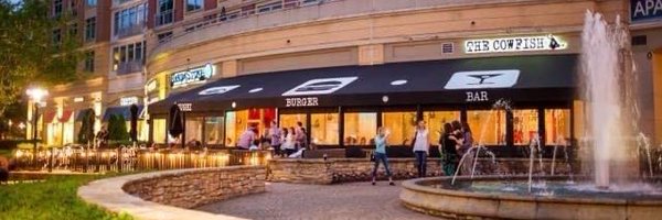 The_Cowfish Profile Banner