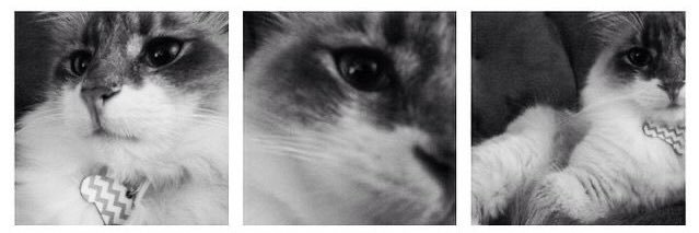 Sa ★🧸🎸 || #lock in utbk banner