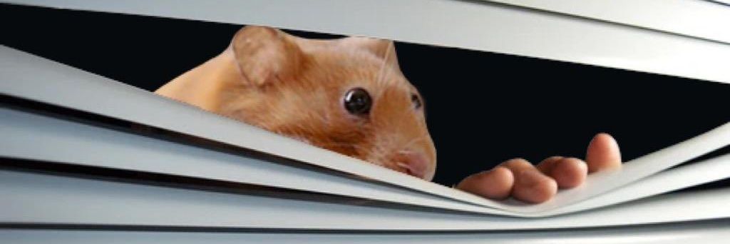 nomviction banner