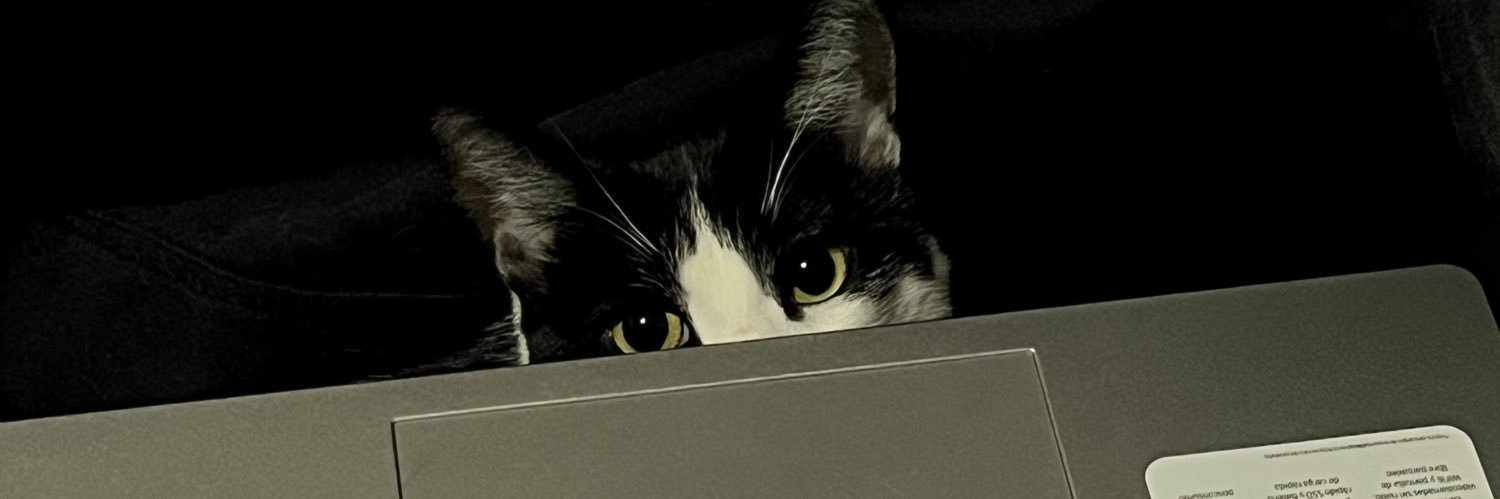 🄸🅂🅃🄷🄴🅁🄸🄲 banner