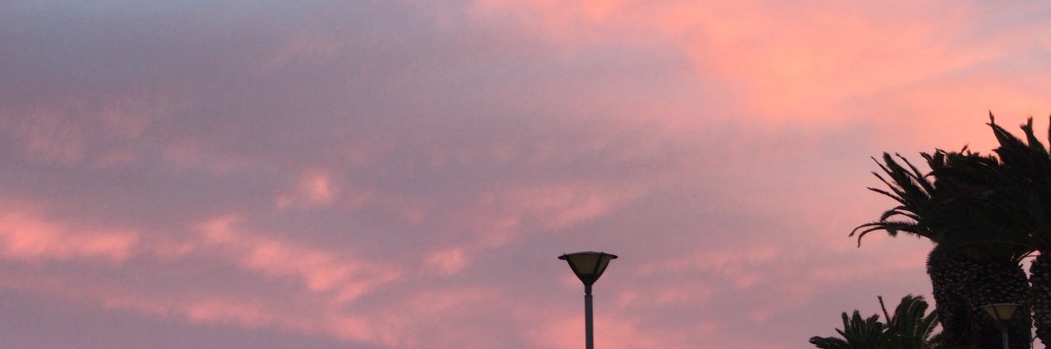 Lisa banner