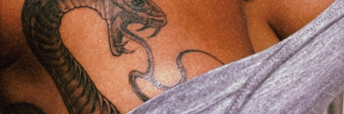 GillaGotti's profile banner image