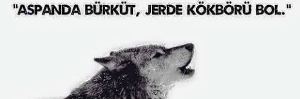 Bozkurt.Kartal🇹🇷 banner