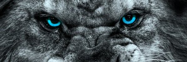 RealityGuru__ Profile Banner