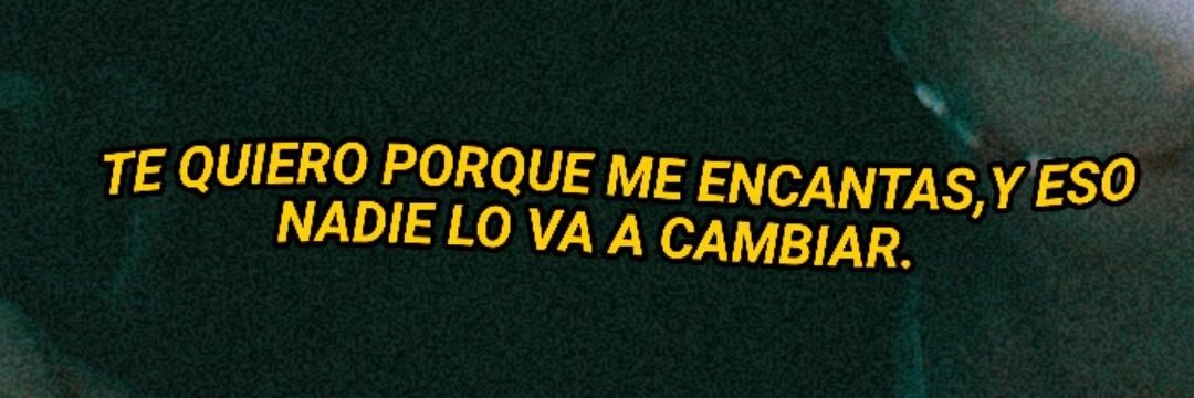 lidia_lago's profile banner image