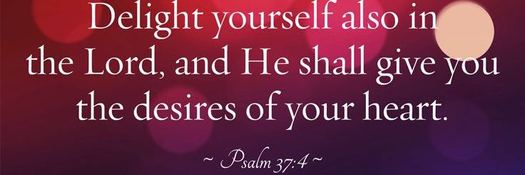 Robin Ragan Conklin banner