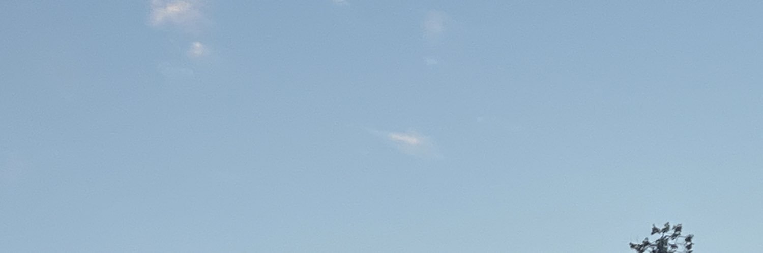 goIdensmoon's profile banner image