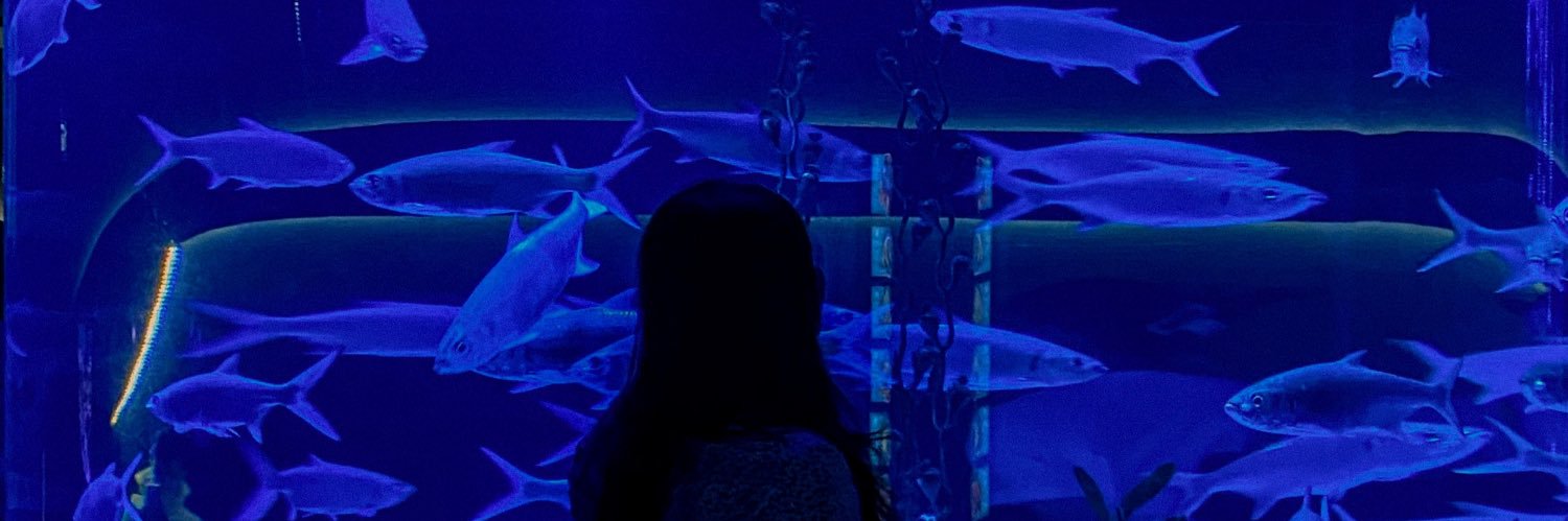 RirinWd_'s profile banner image
