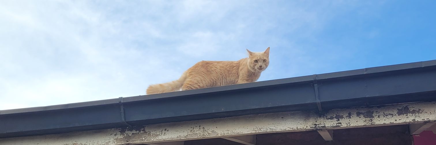 fran ❤️‍🔥🇦🇷 banner