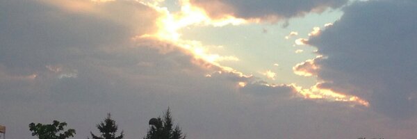 tbuls Profile Banner