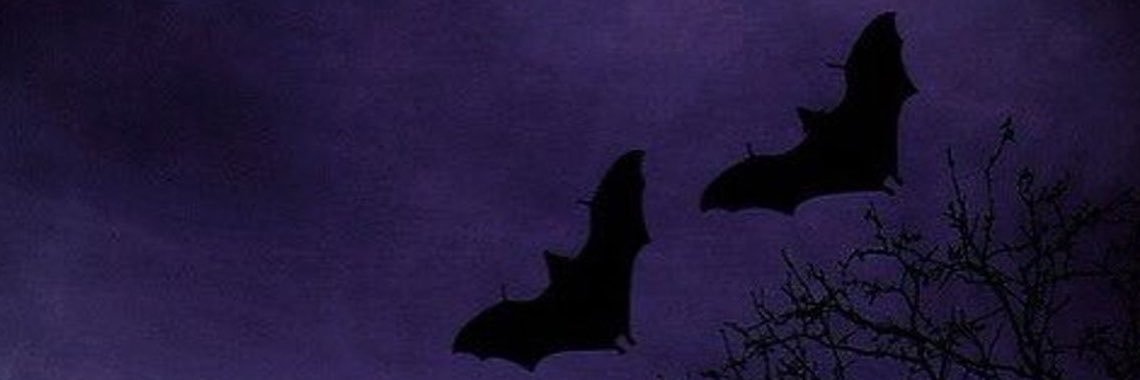 suhnside's profile banner image