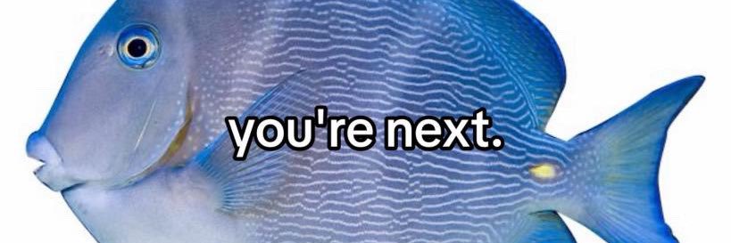 miles .𖥔 ݁ ˖ 💫's banner