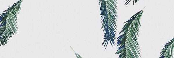 amberrosetoday's profile banner image