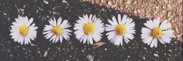 _AnaKlein's profile banner image