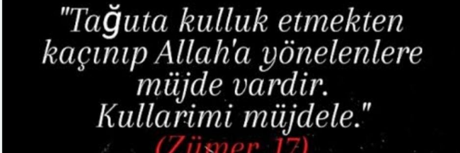 Aslan15demir's profile banner image