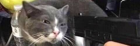 Im_SimplyAna's profile banner image