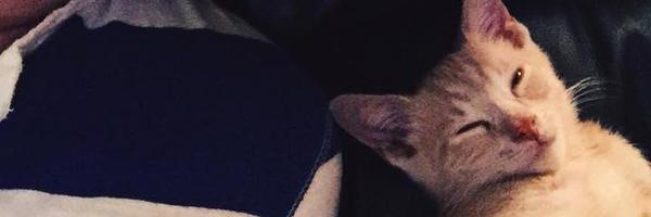 zachraffio Profile Banner