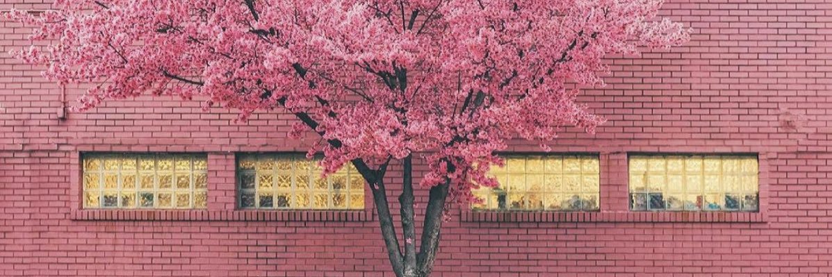 whatisvmpfc's profile banner image