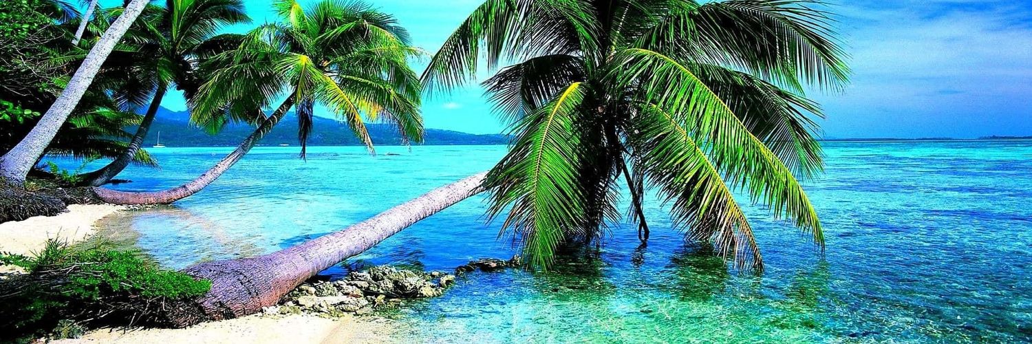 🌞🌴COSTEÑITO🌴🌞 banner