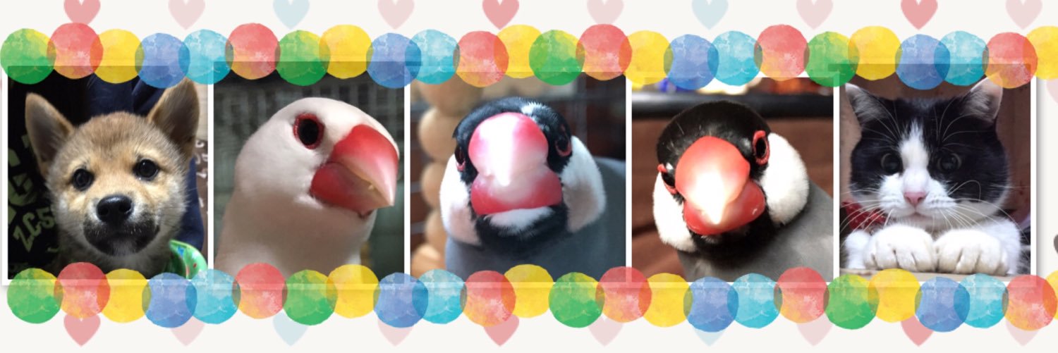 tomosigahi's profile banner image