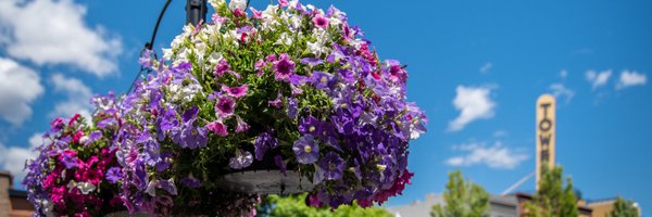 DowntownBend Profile Banner