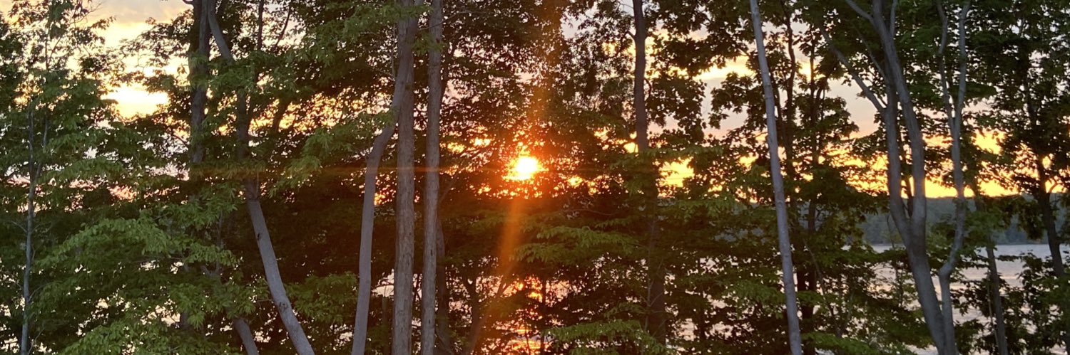 Ilona Perry ☮️🌈🇺🇦🟧 banner