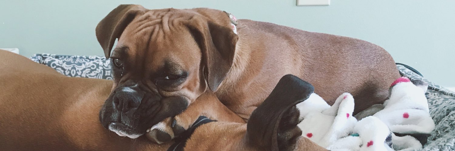 JennSchof's profile banner image