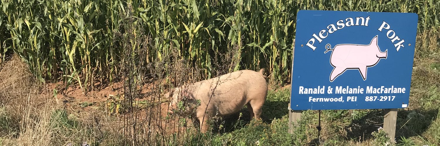 Scotty MacSqueezenickel banner