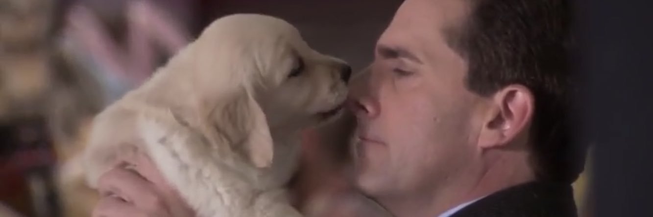 eylulblabla's profile banner image