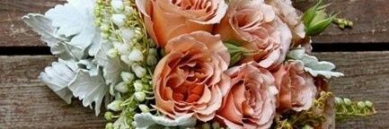 GraciouslyMixed's profile banner image