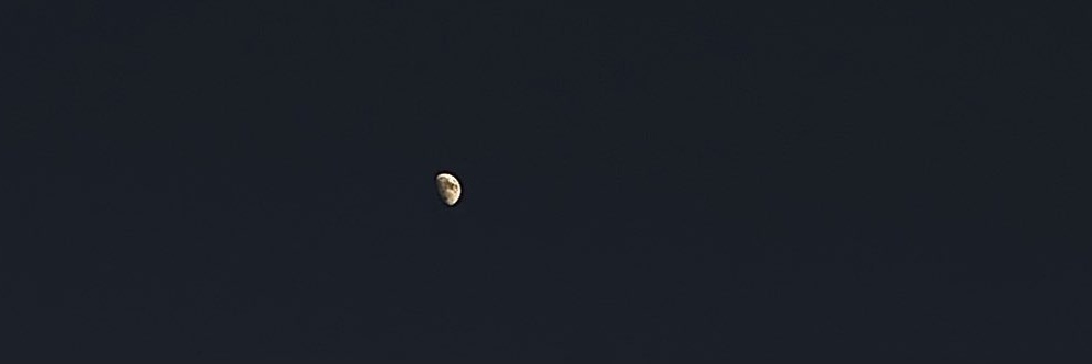 ↳€∫† banner