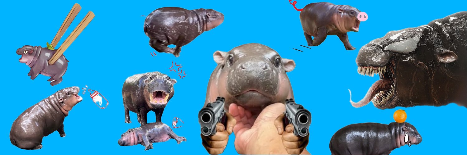 Moo Deng Community banner