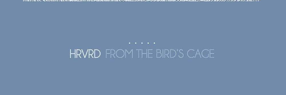 timidscripts24's profile banner image