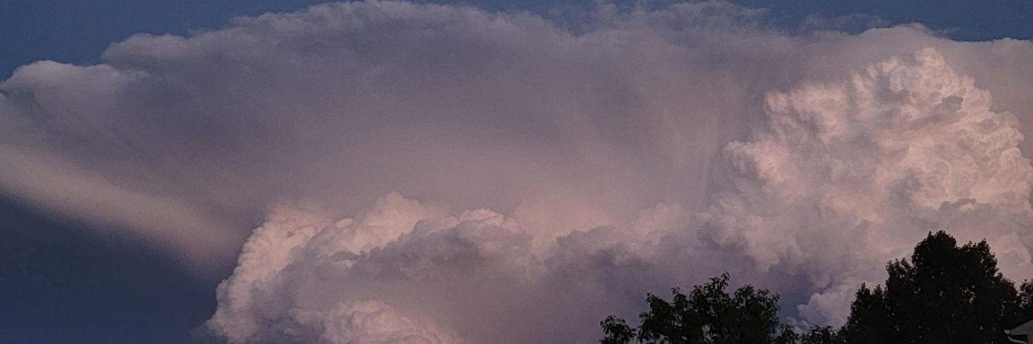 Marissa🥀 banner