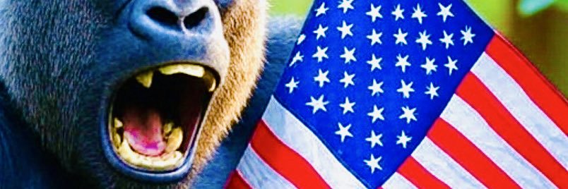 Silverback 73 banner