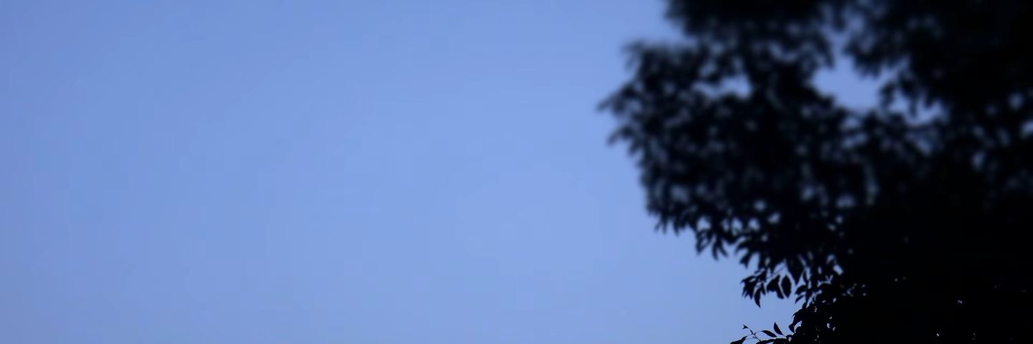 DaizihaoD44094's profile banner image