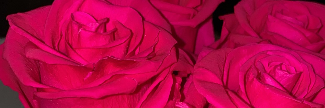 chaabella_'s profile banner image