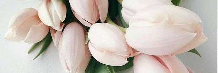 mutiara_wardi's profile banner image