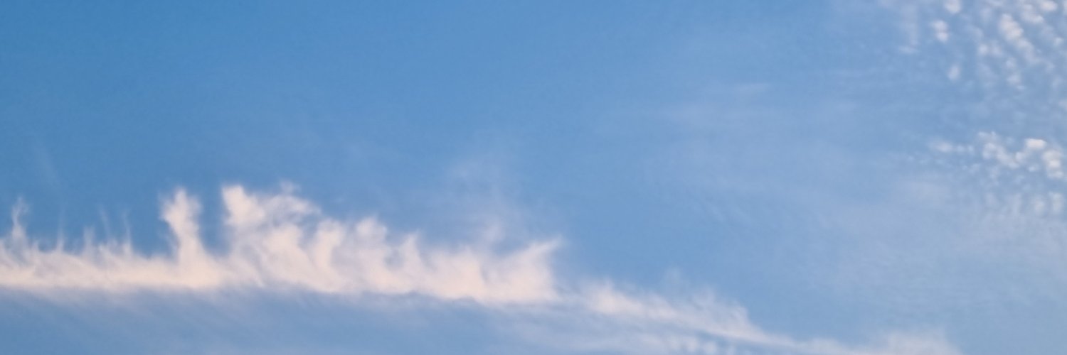또링(트친소)'s banner