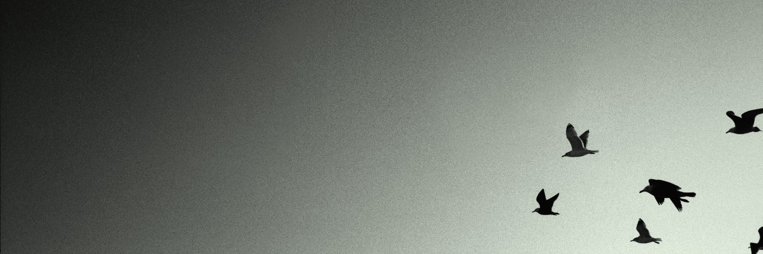 ⚡️Striker✏️ banner