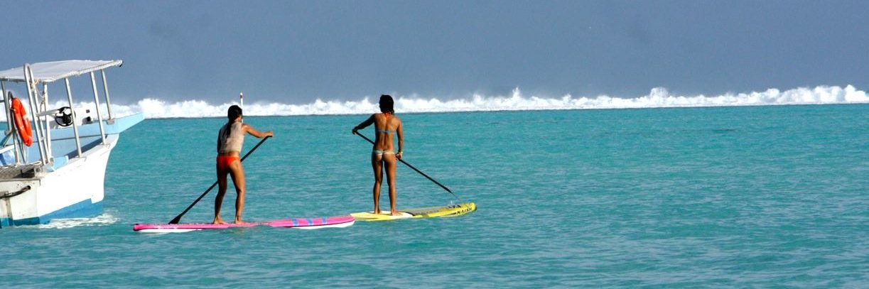 OptimalHealthPT's profile banner image