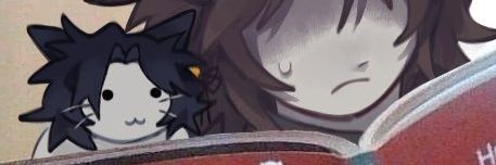 ari's banner