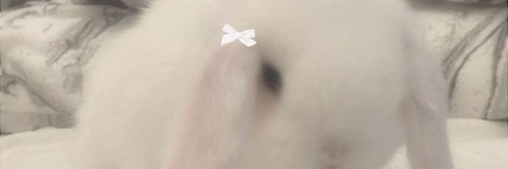 ari158601's profile banner image