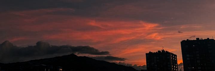 Sebas banner