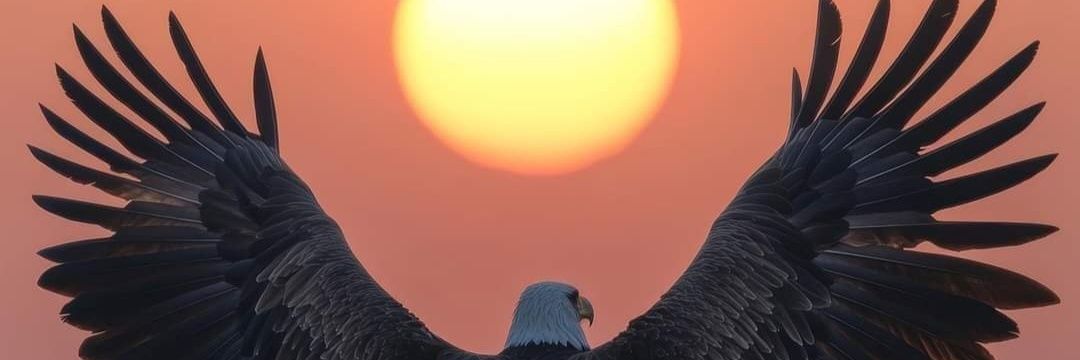 Emre Güldoğan banner