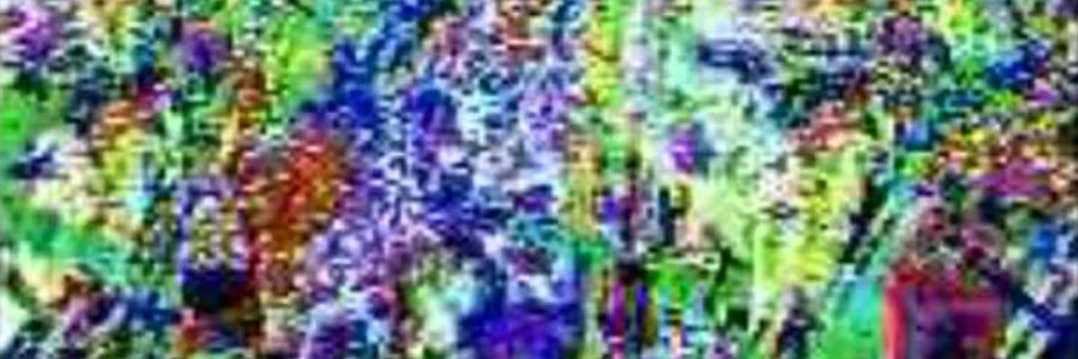 cikao1212's profile banner image