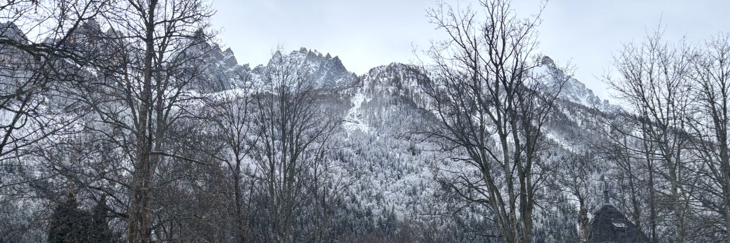 Dough Ribeiro WorldTraveler banner